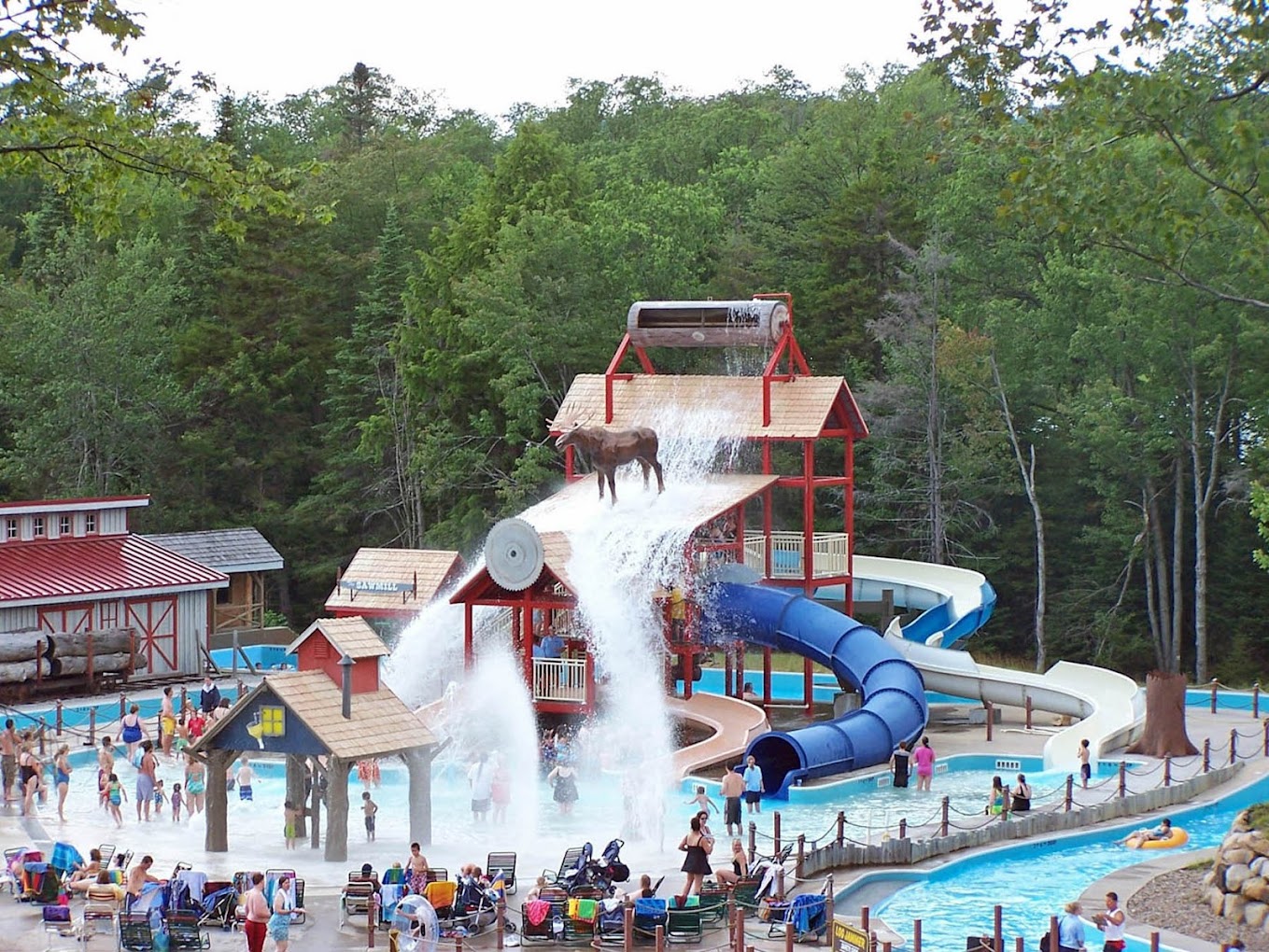 Enchanted Forest Water Safari