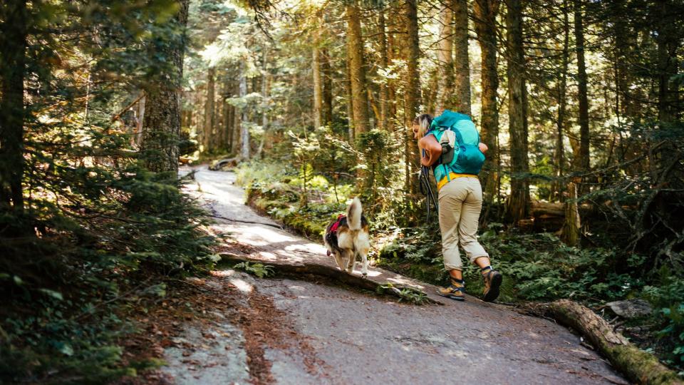 Hiking