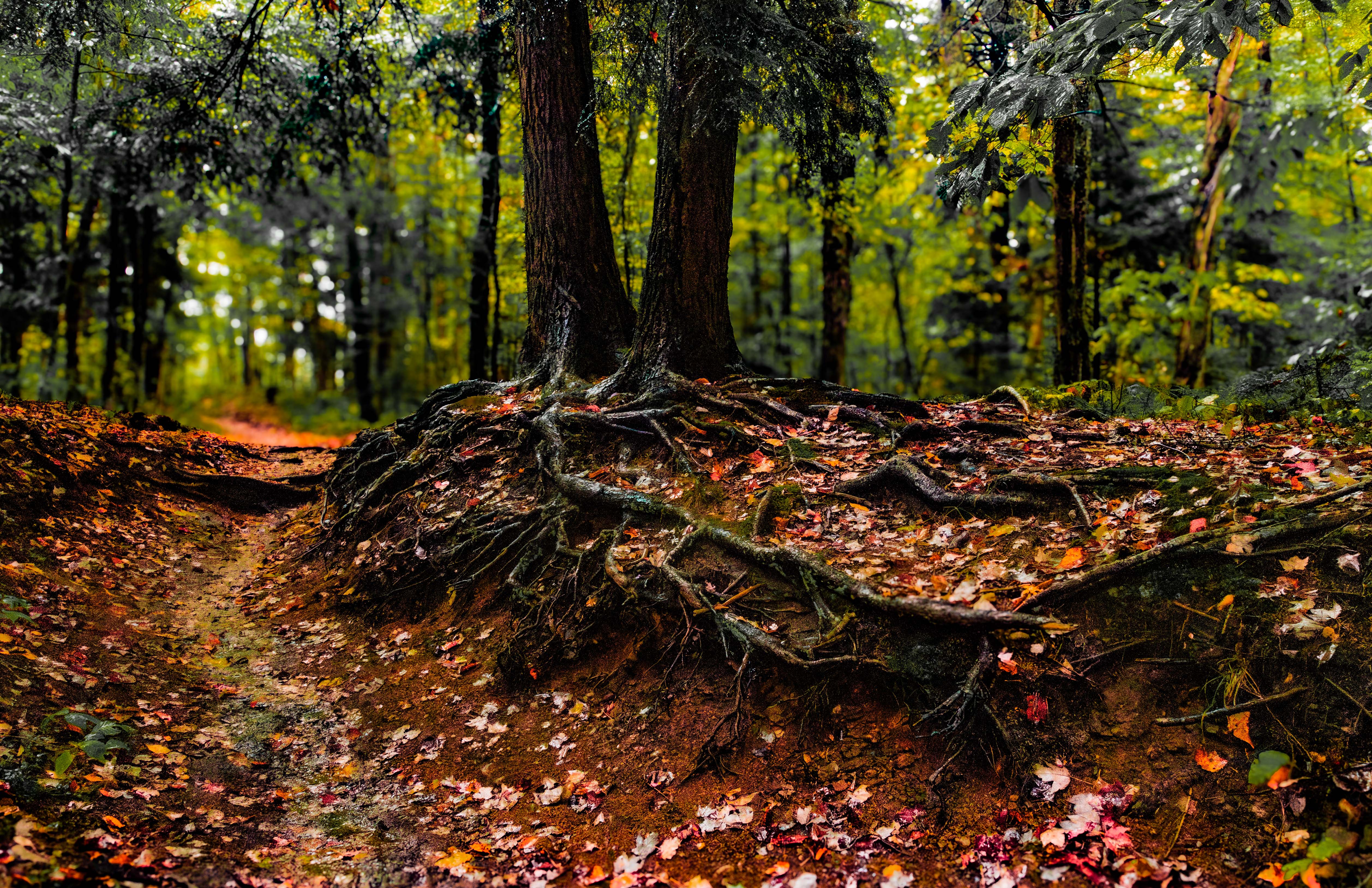 A7R00283 Enhanced NR