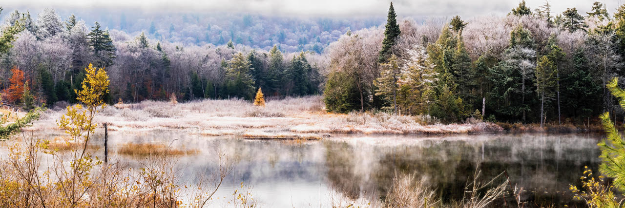 Buran Lone Tamarac on frosty Carter Road 1