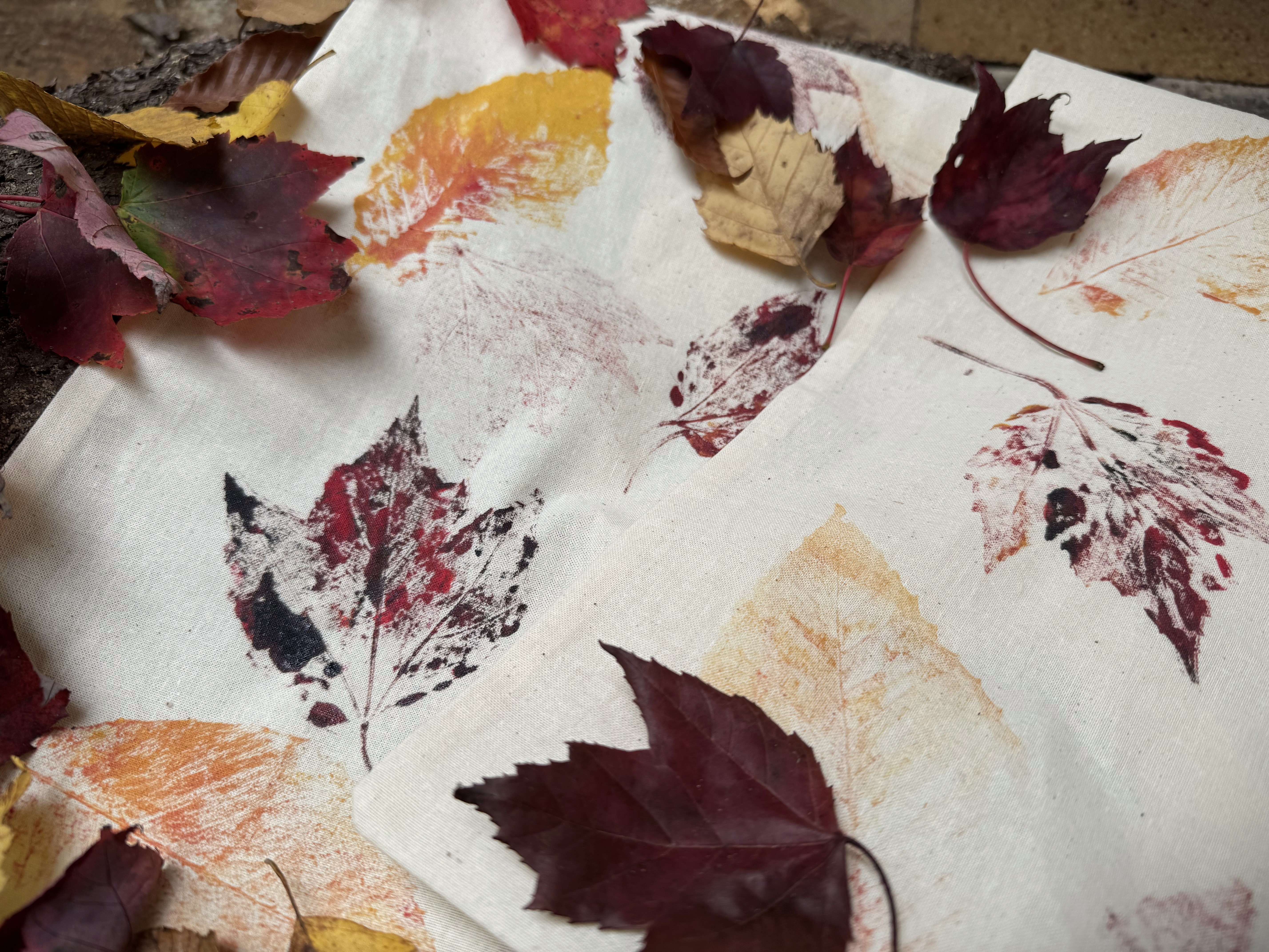 Leaf Printing 2