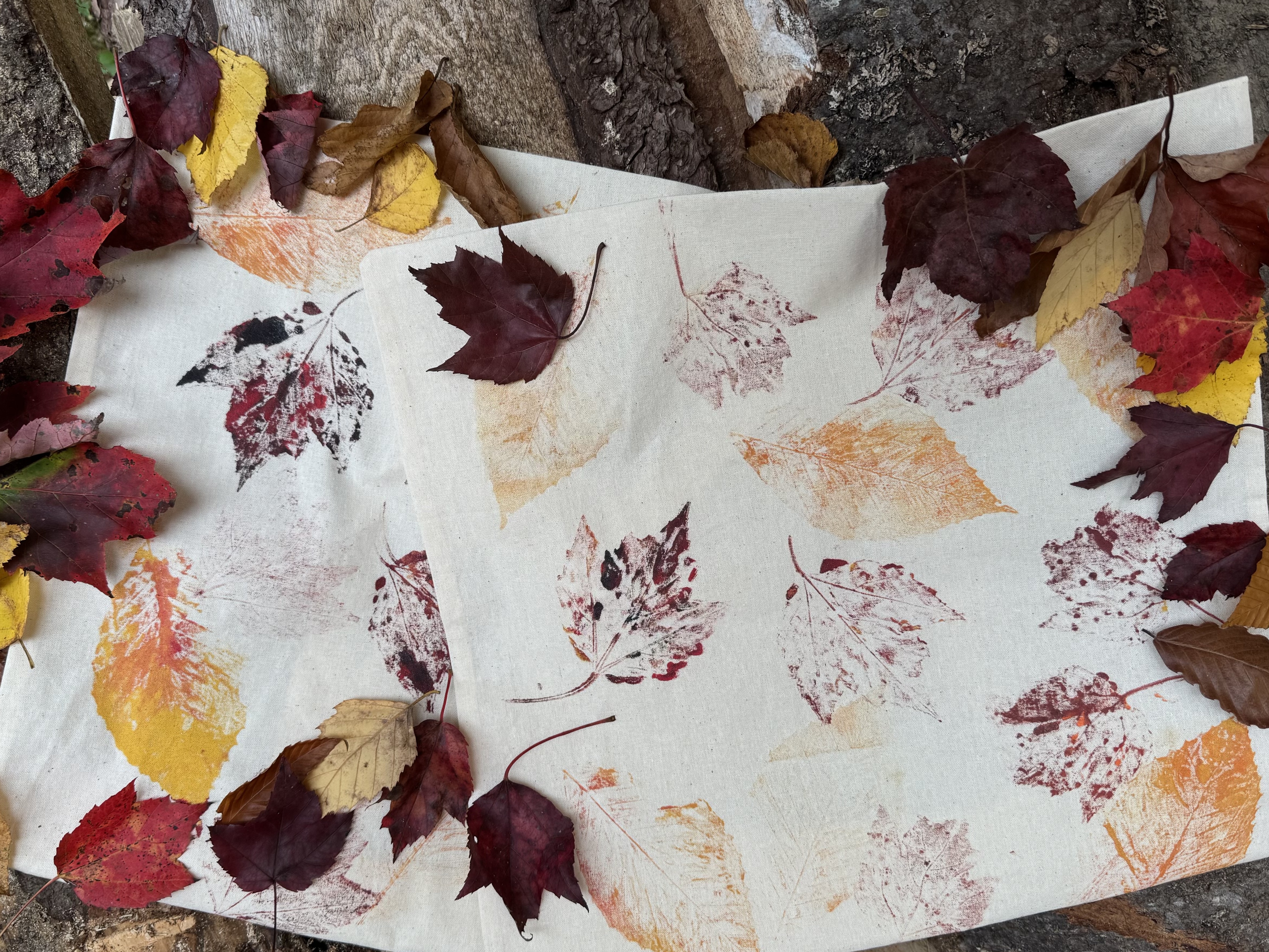Leaf Printing