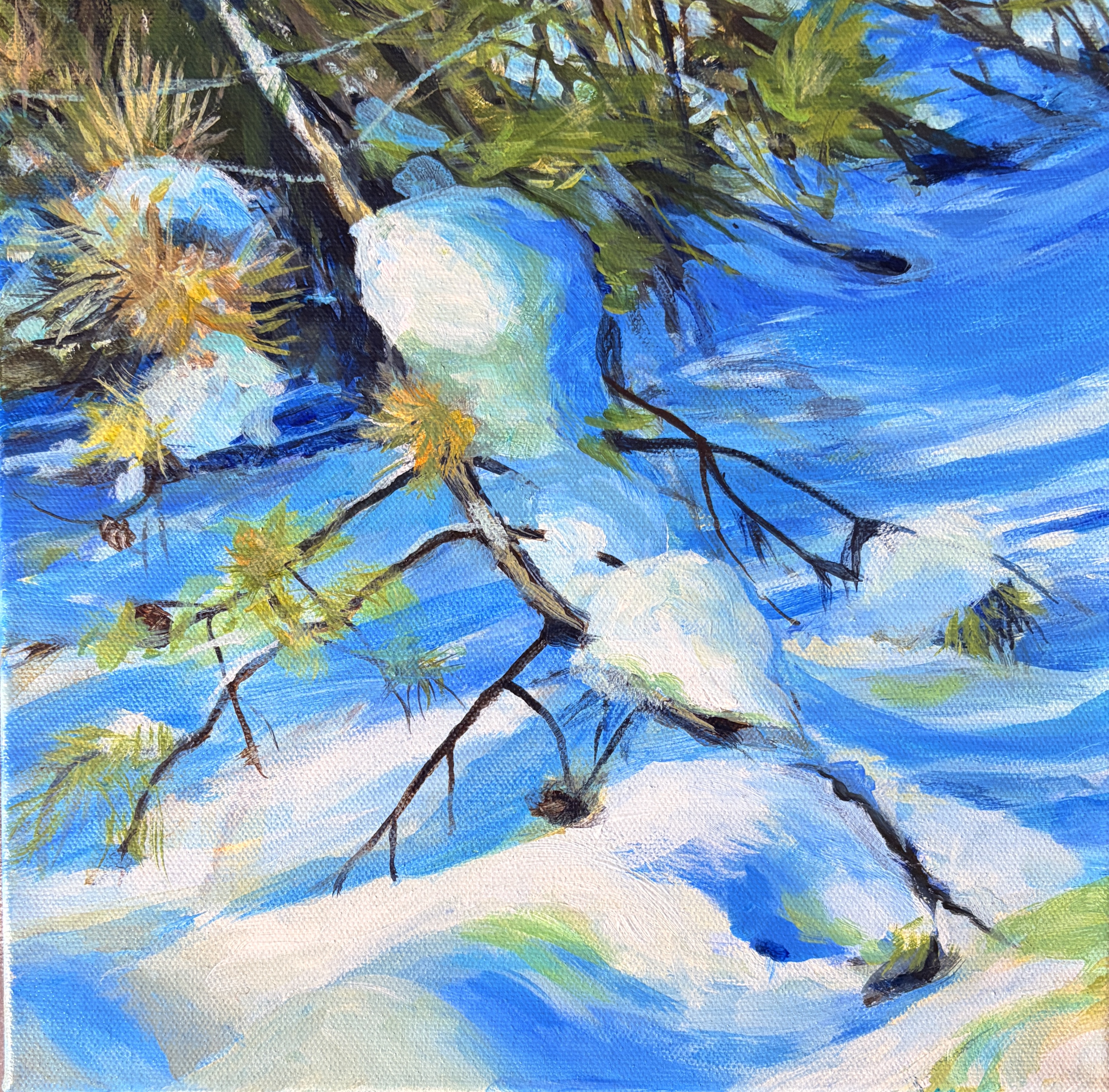 Nostrant Light and Shadows Of Winter
