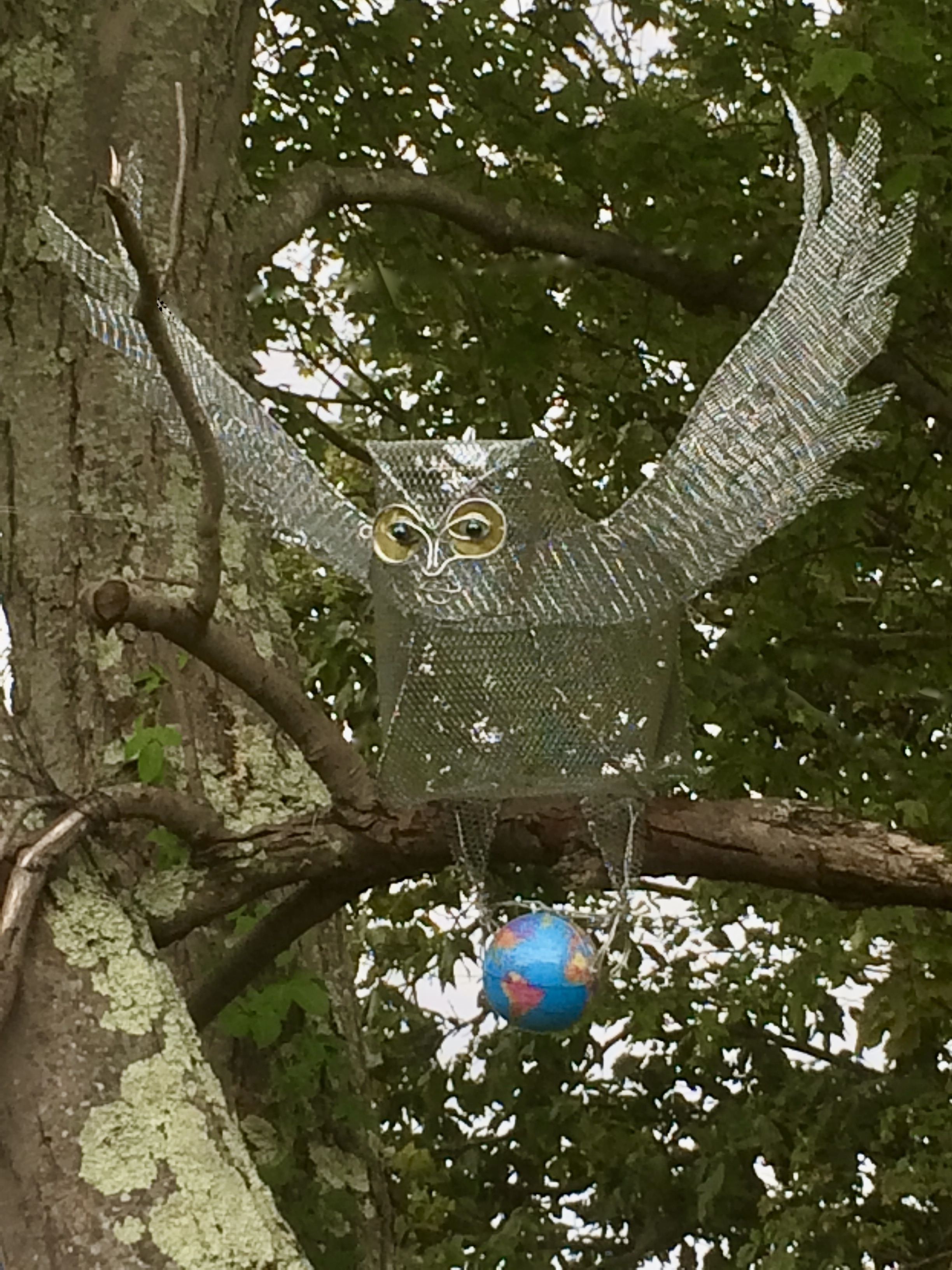 Owl in Wonderland