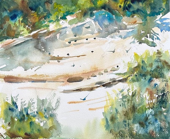 Shute Sand Swifts wc 16x13 5 16