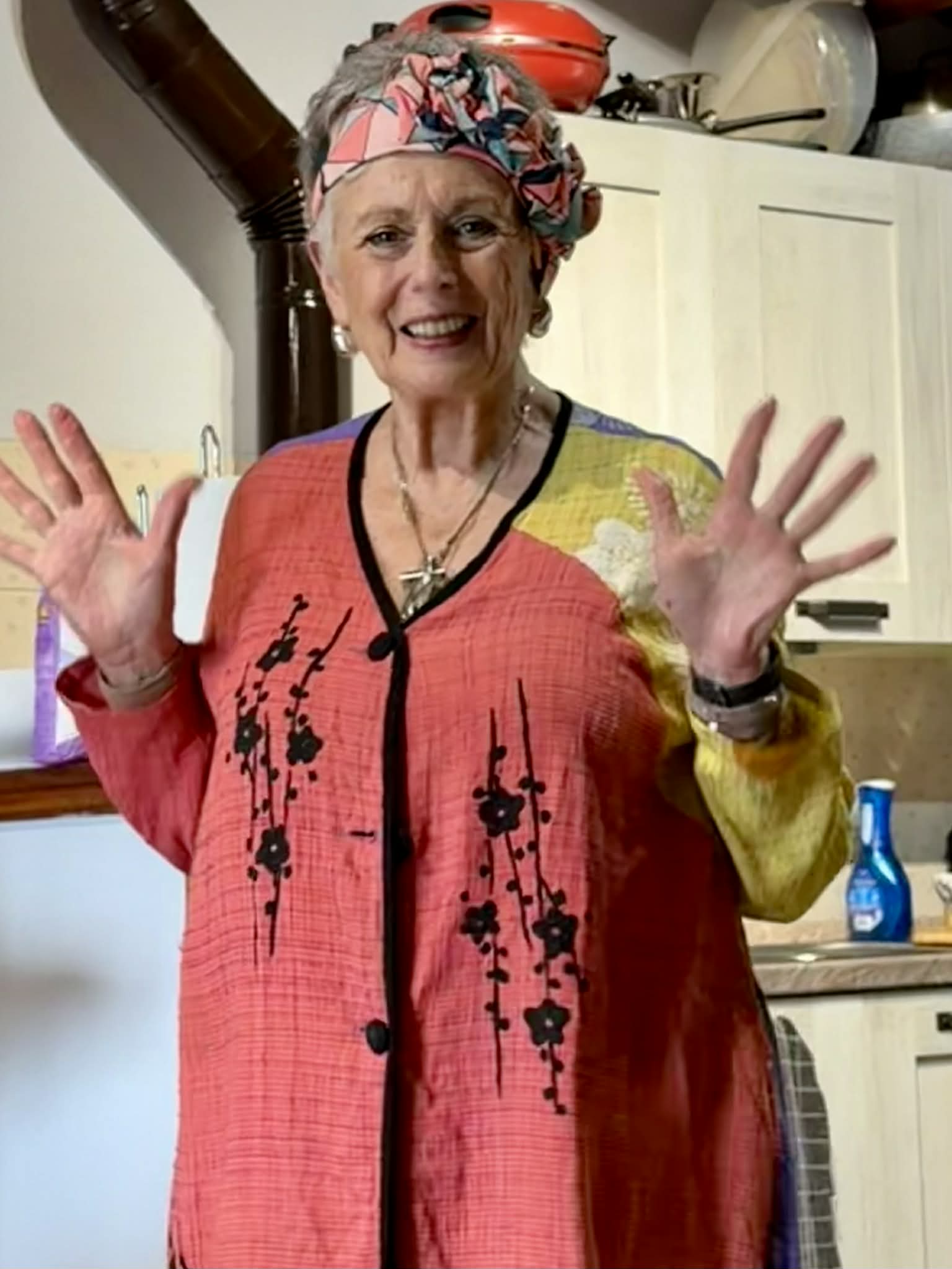 V Joanne Destefano