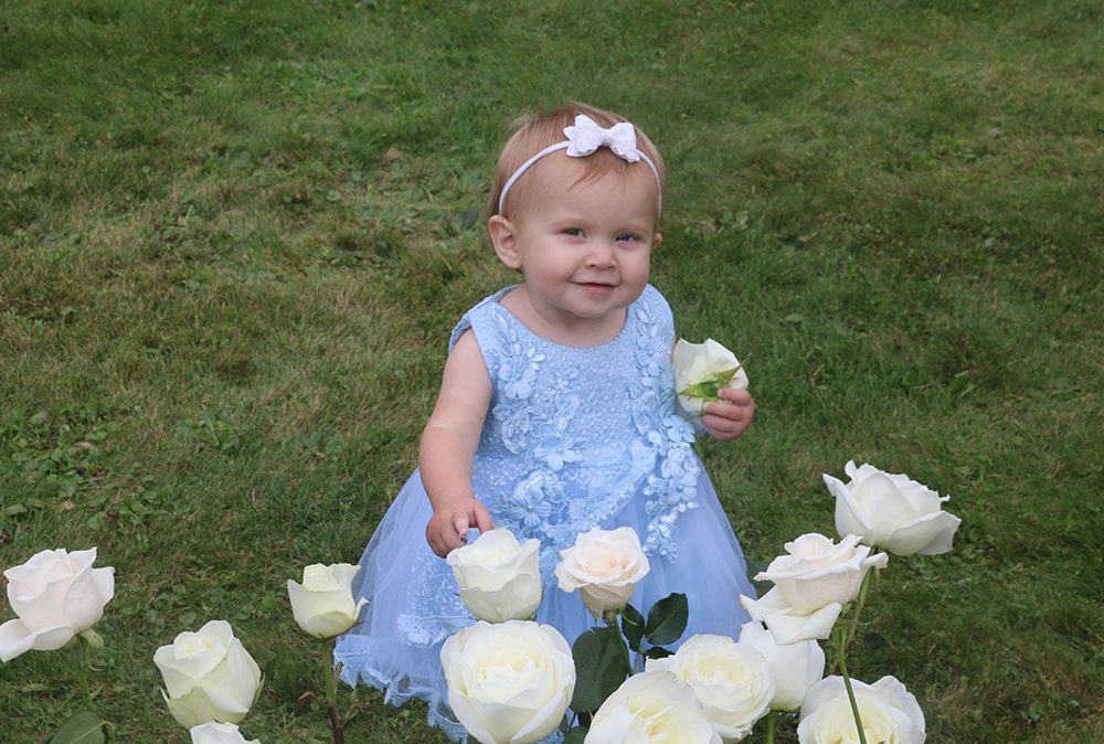 Gary Lee Great Grand daughter Milly picking roses