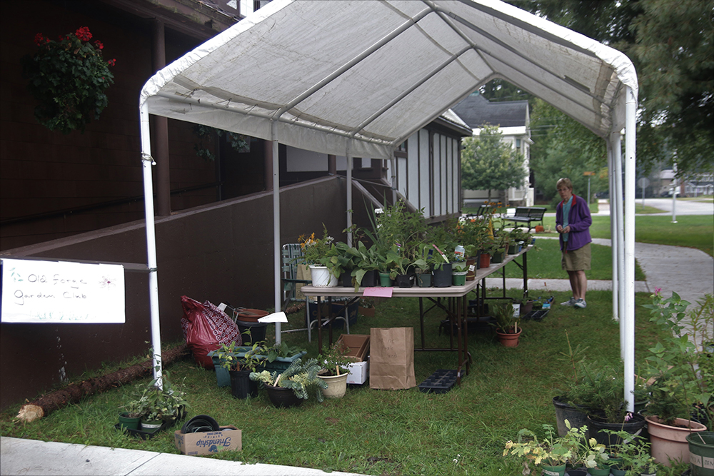 Gary Lee Plant Sale