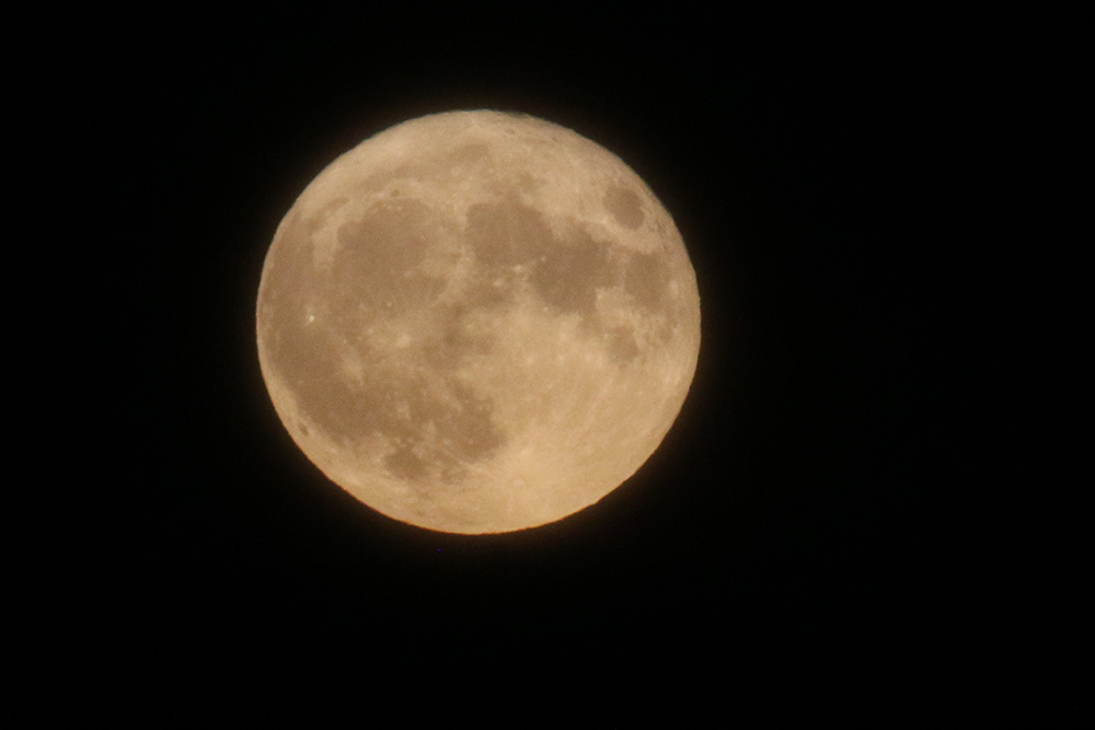 IMG 1742.JPGfull moon