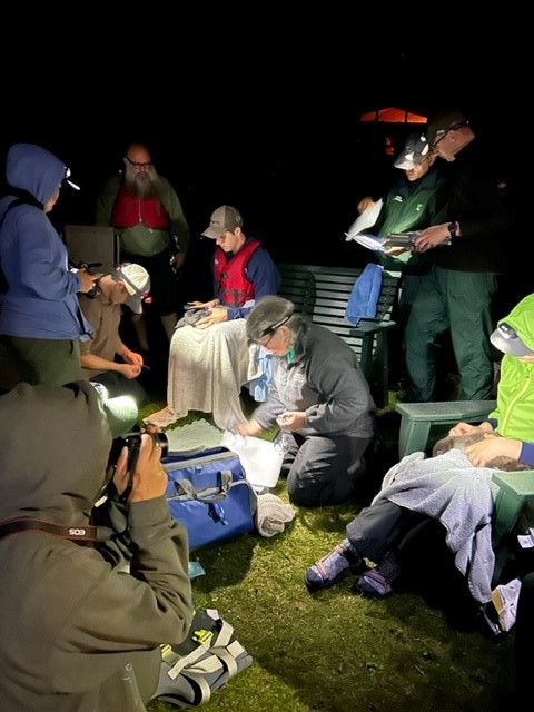 loon banding 6th kathy Ruseitto
