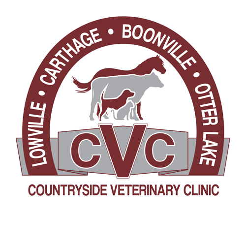 Otter Lake Veterinary Clinic