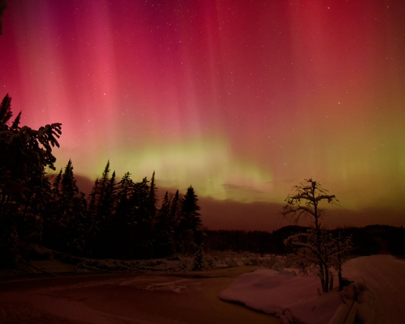 3fb937e9 3a8a 46f3 a90a 5cd6c38376c9.jpgNL2