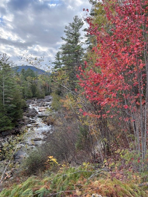 GL 332 Roaring Brook Falls