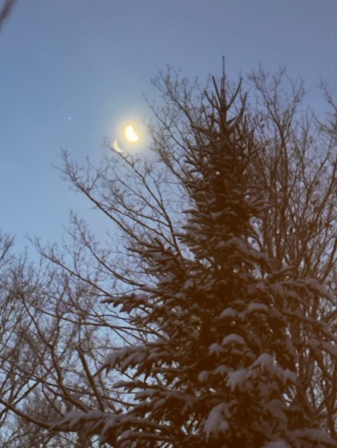 GL 341 Crescent Moon