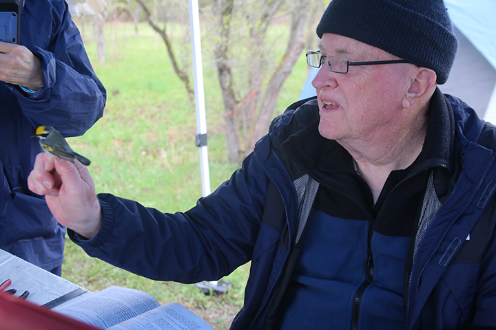 gl 309 Tom Barber with a Winged Warbler