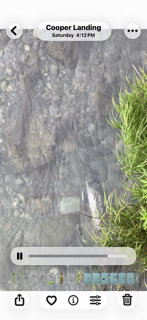 gl 370 rainbow trout spawning