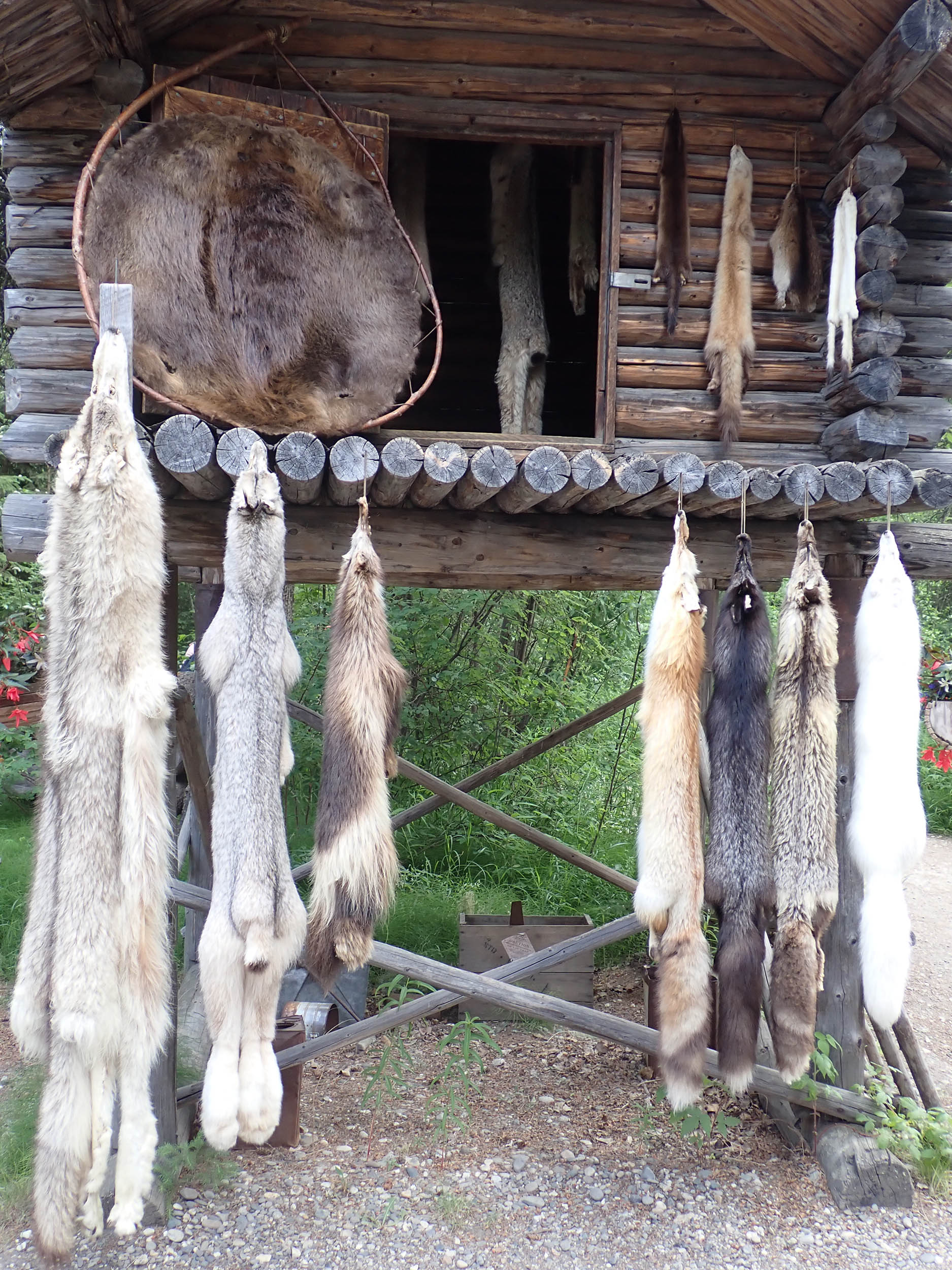 gl 371 furs used in making clothes