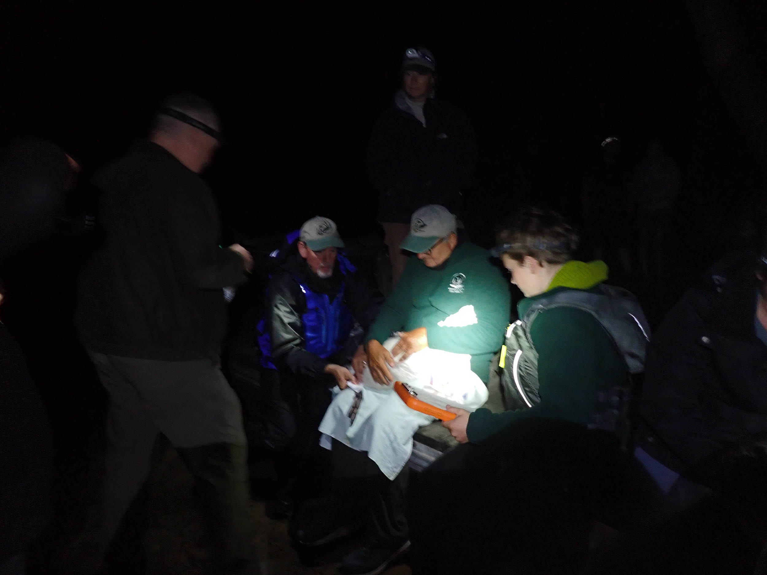 gl 372 banding Loon on Matt Luppino's lap, Don Andrews, ACLC and WC Staff at Eighth Lake