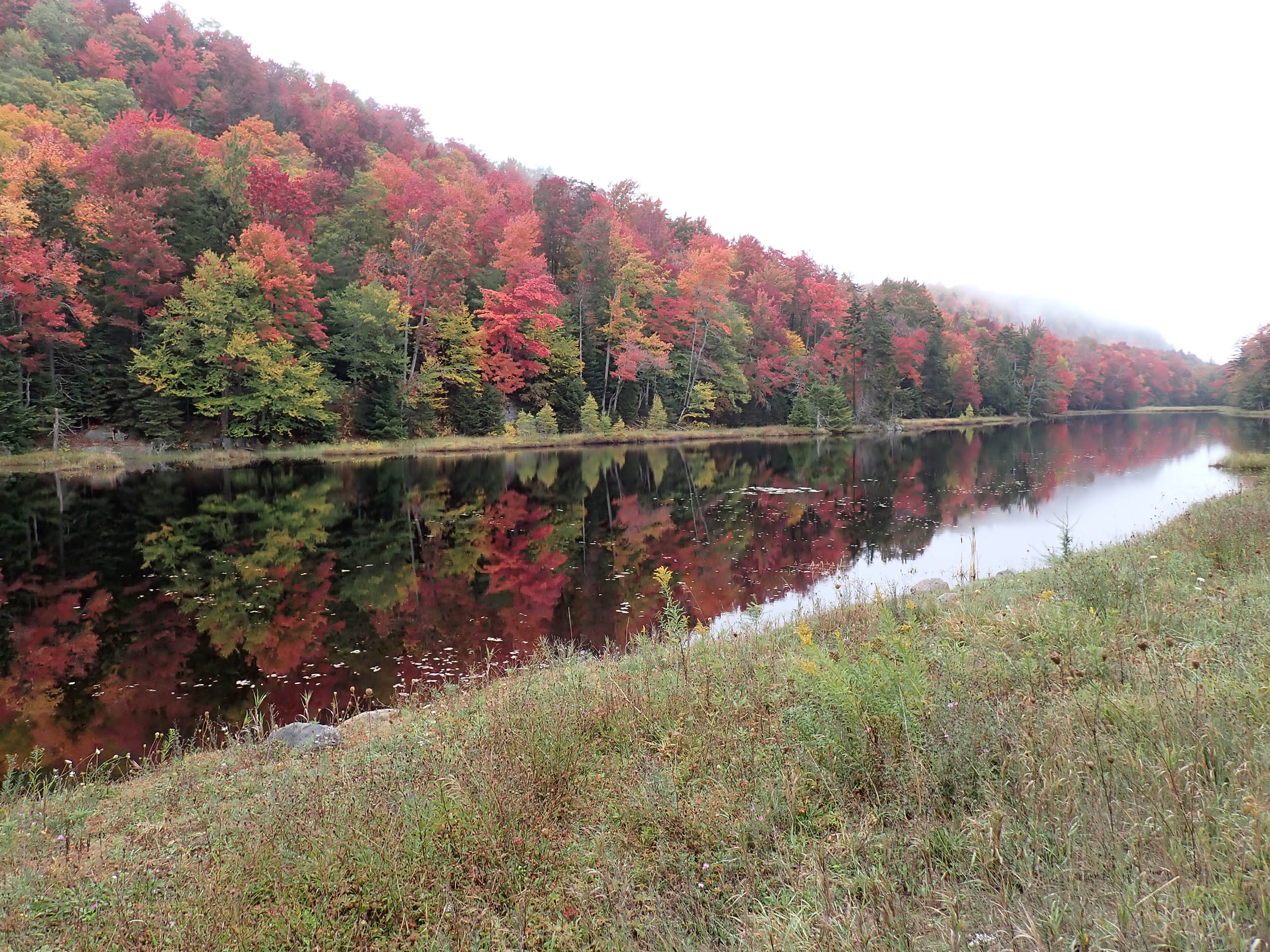 gl 382 Bald Mountain Pond