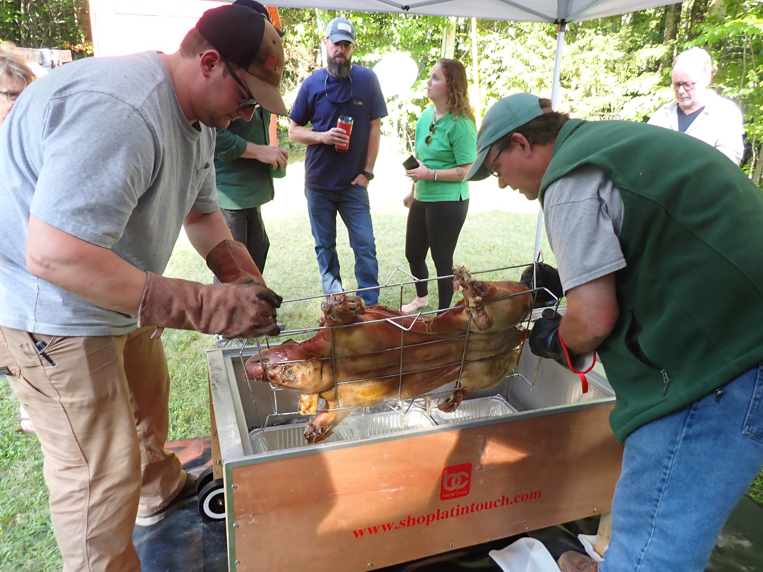 gl 382 flipping the pig