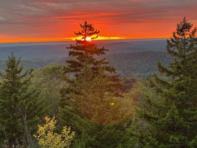 thumbnail IMG 0686.jpgsunset