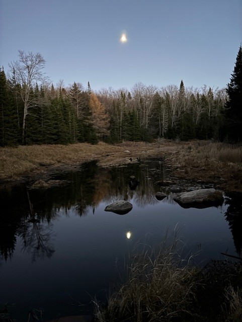 thumbnail IMG 0992.jpgpine creek