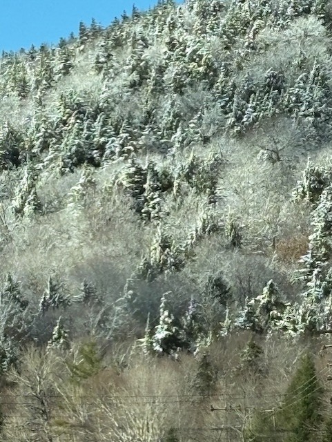 thumbnail IMG 0996 v2.jpgrocky mountain