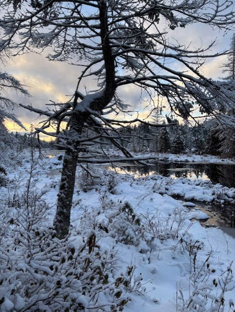 thumbnail IMG 1045.jpgTwitchell creek