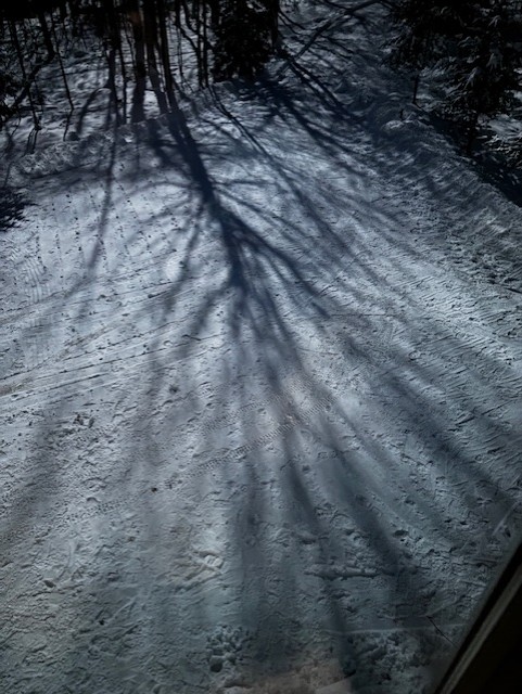 thumbnail IMG 1057.jpgmoon shadows