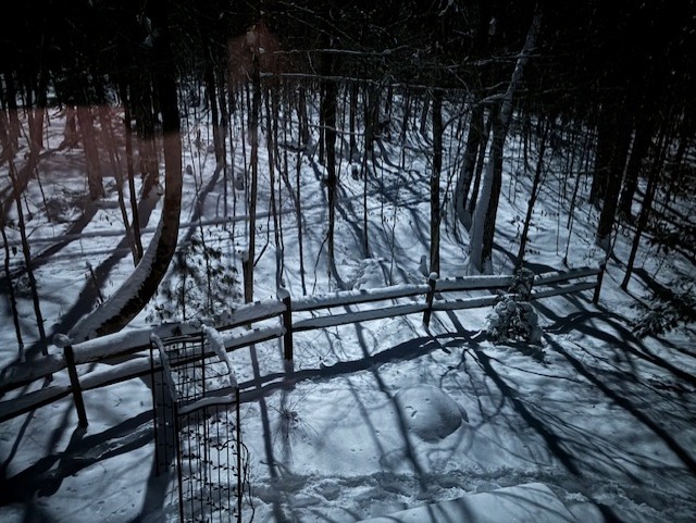 thumbnail IMG 1066.jpgmon lit ski trail