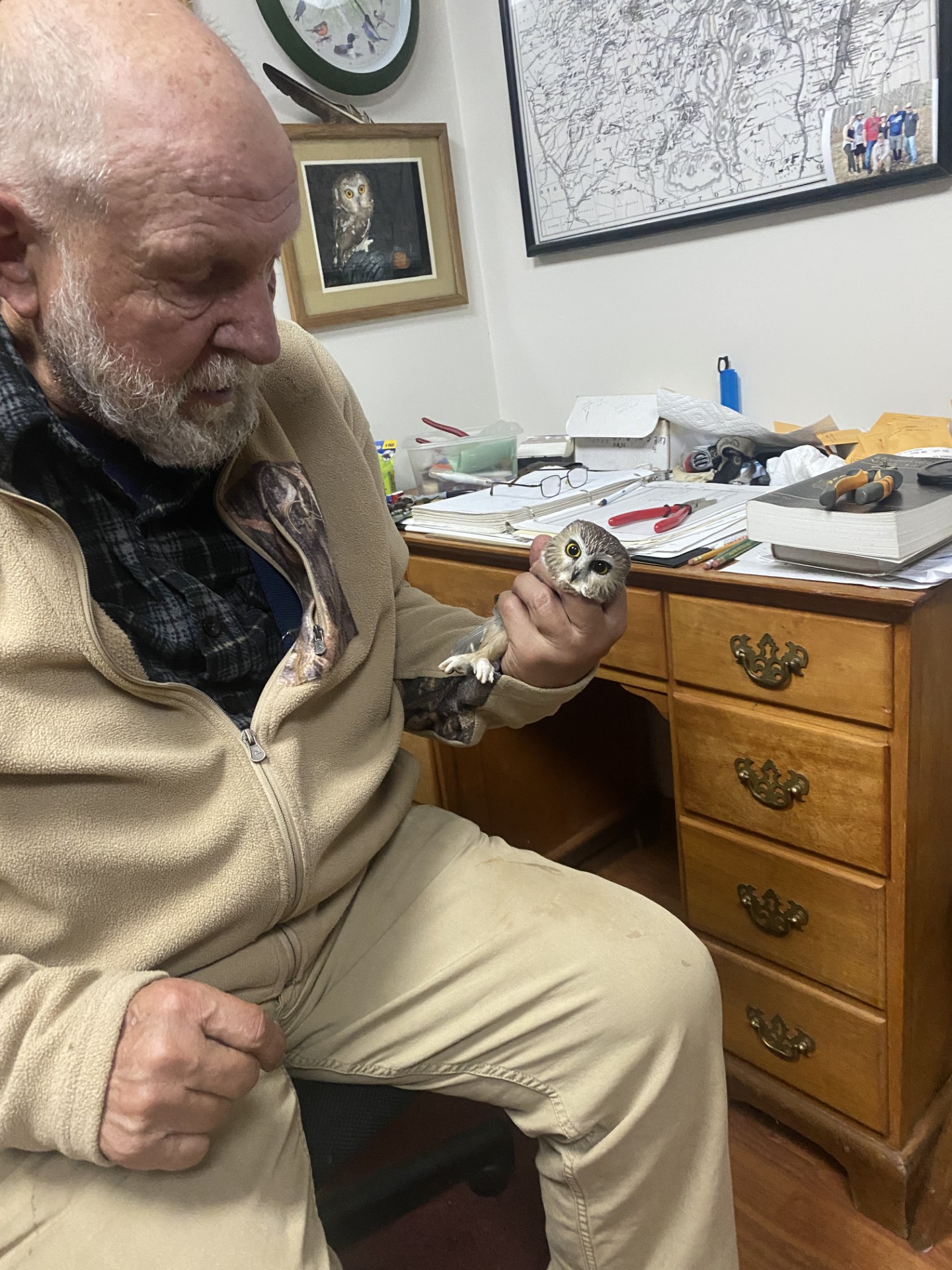 thumbnail IMG 9546saw whet debbie