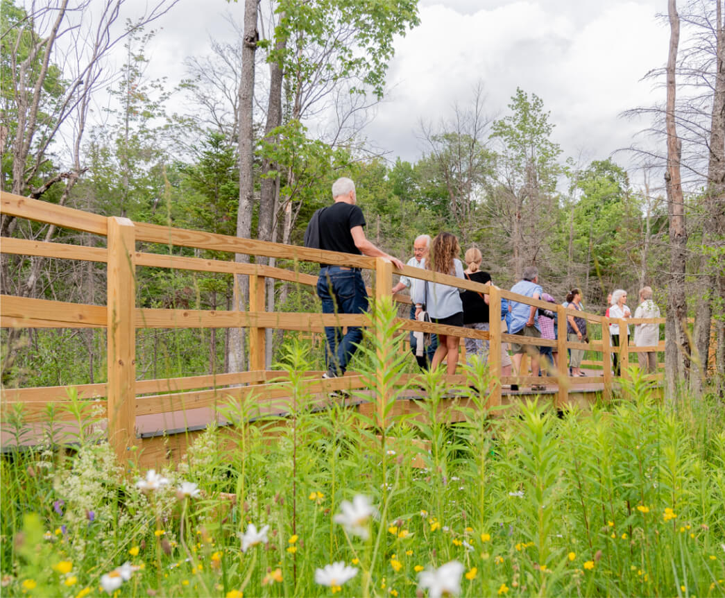 Wetlands Walkway